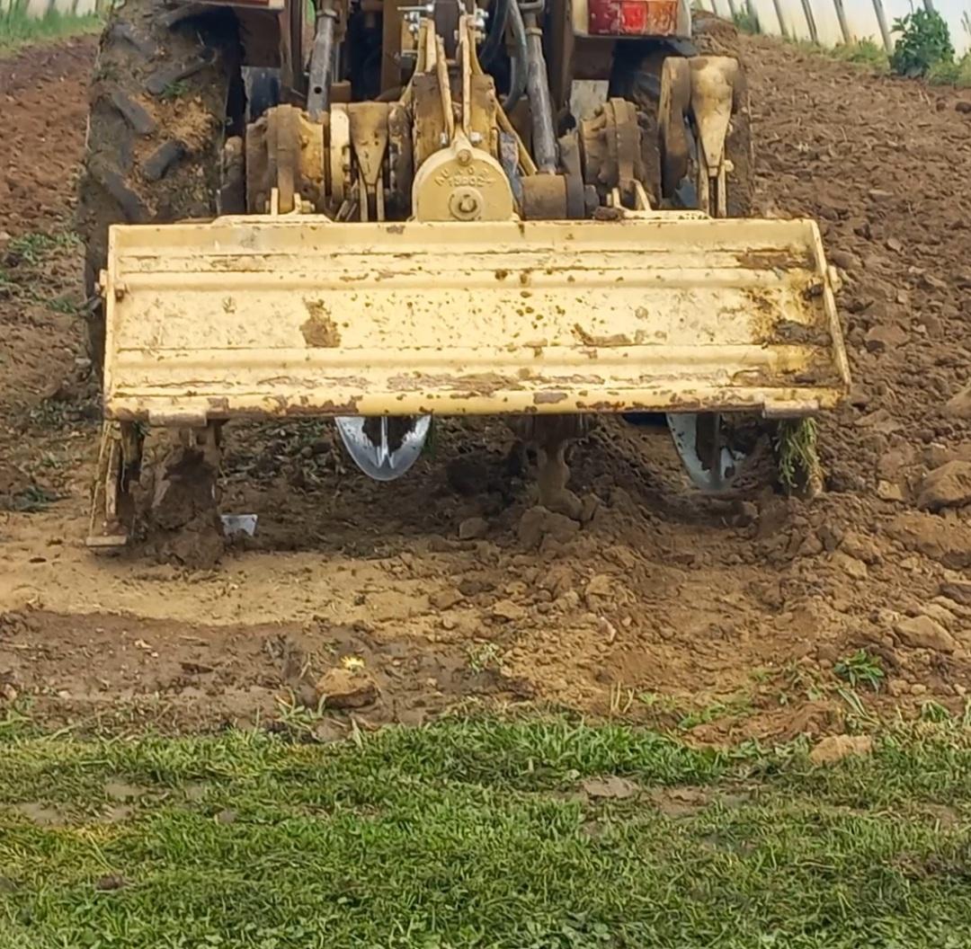 KW 16/2023