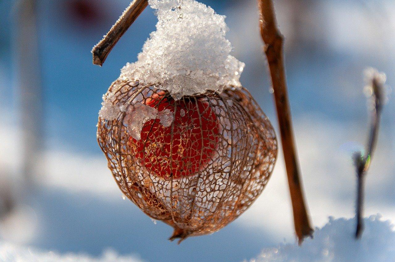 Winterpause
